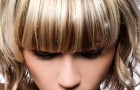 Introducing Hair Dazzle