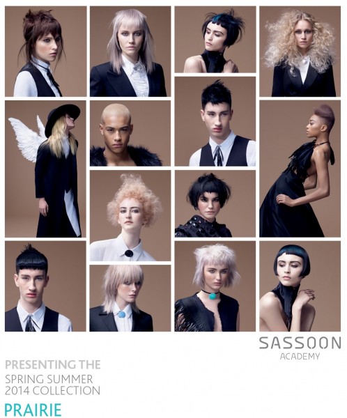 Sassoon Spring Summer 2014