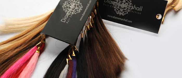 Celebrity Locks Hair Extensions 2 a packet of Celebrity Locks