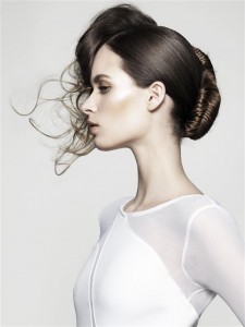 Sorbie Masterclass Occasion Hair 2 occasion hair Advanced Master Class