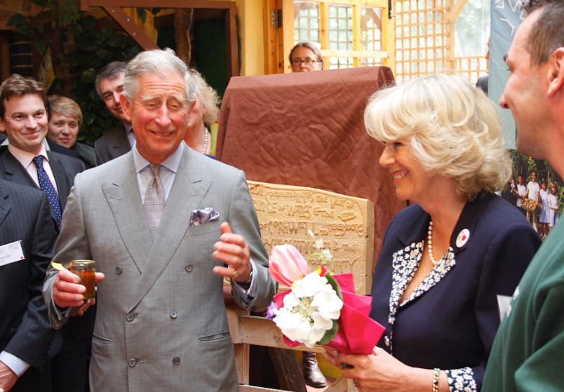 Prince Charles & Camilla in 2009